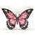 MorfoLight - Monarch Butterfly Carving